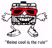 Mr Cool Radiator
