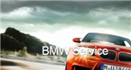Accent BMW & Mercedes