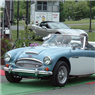 A 1967 Austin-Healey restored to concours-class condition. (Better than new.)
